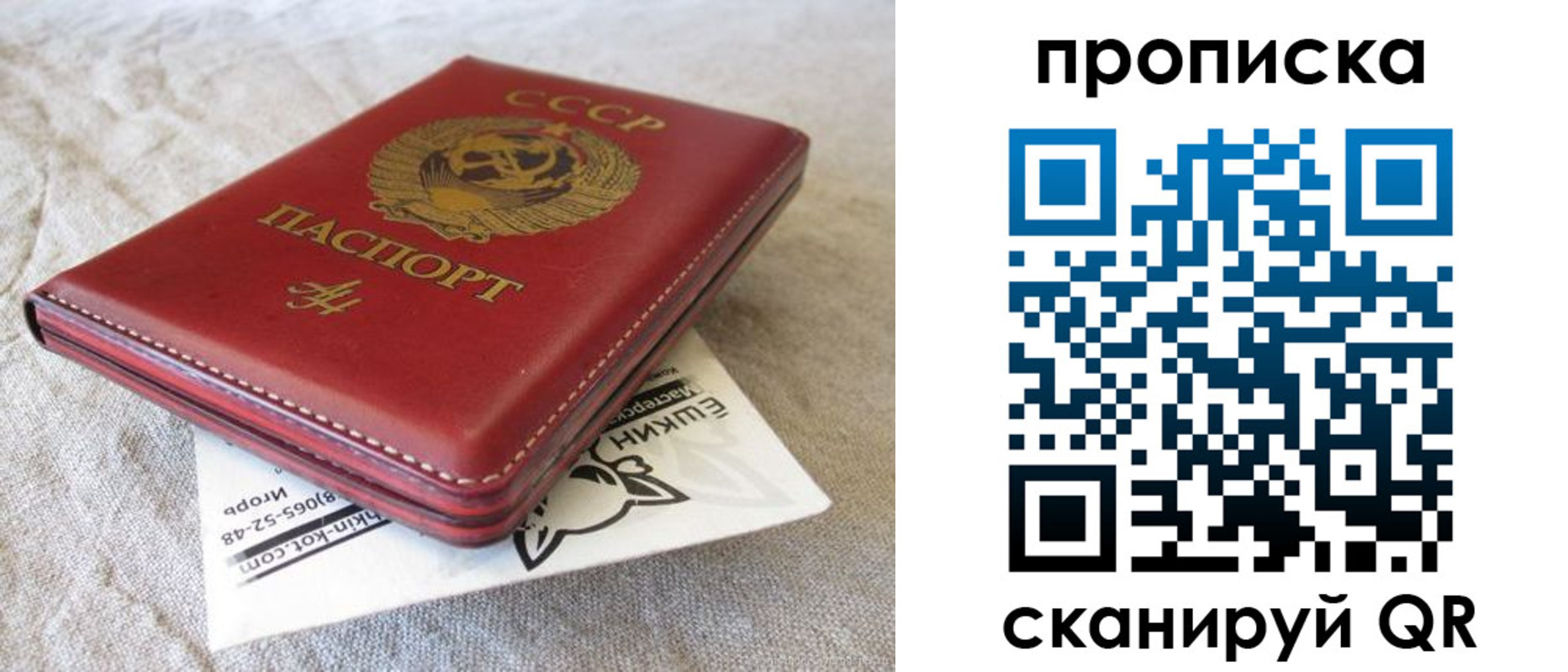 прописка для школы в Белово